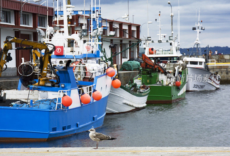 Row of fishing boats moored in harbor, Sada, A Coruña province, Galicia, Spain.